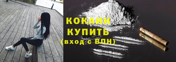 дживик Абинск