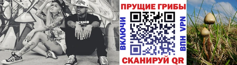 ОМГ ОМГ зеркало  Симферополь  Галлюциногенные грибы мухоморы 