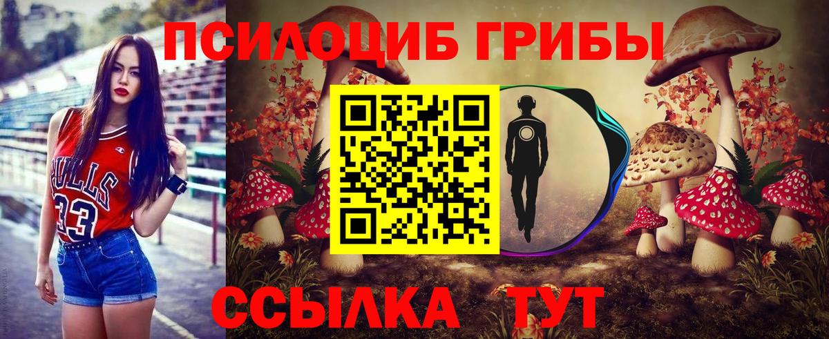 Симферополь  Псилоцибиновые грибы Psilocybine cubensis  Вход с VPN 